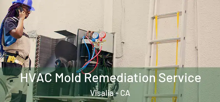 HVAC Mold Remediation Service Visalia - CA
