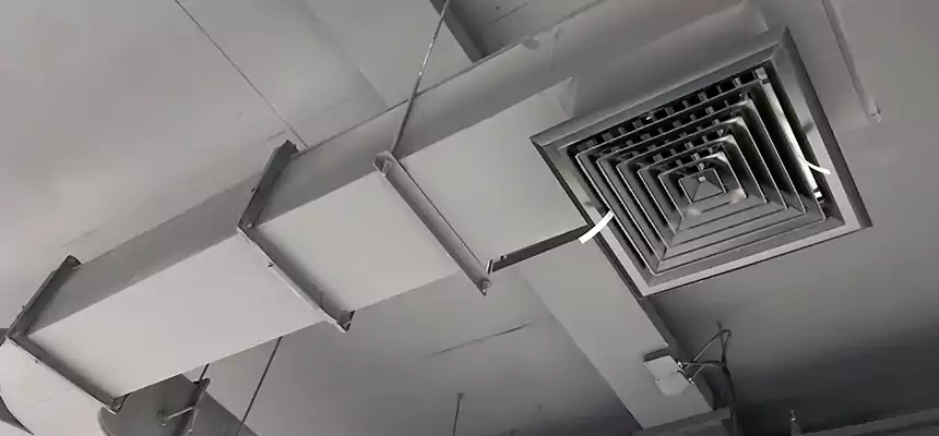 Restorative Allergy Relief Vent Cleaning – Coil, Blower & Housing Detail in Visalia