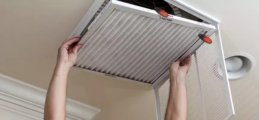 Our Insect Removal from Air Ducts Services in Visalia, CA