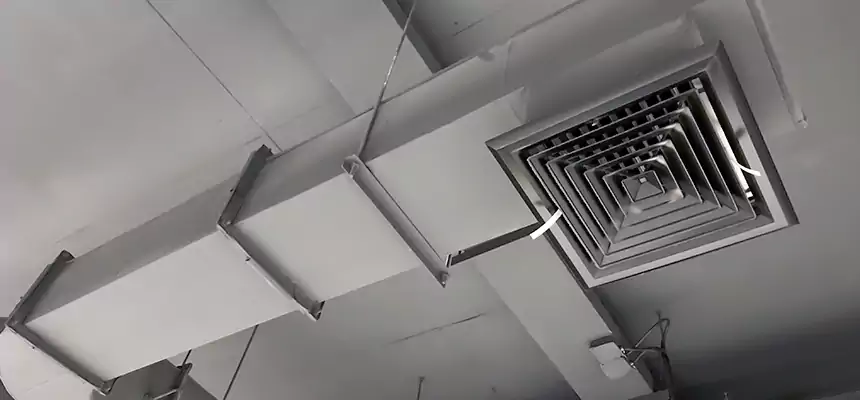 Our Pest Removal From Ducts Services in Visalia, CA