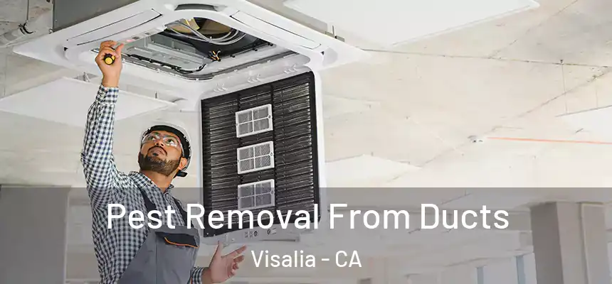  Pest Removal From Ducts Visalia - CA