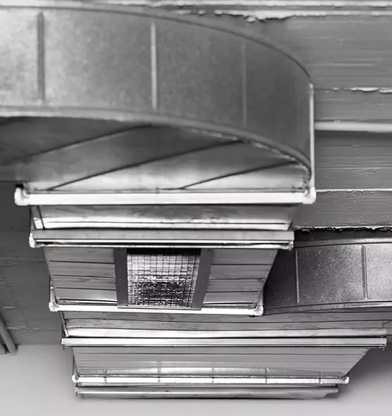 Professional Air Duct Pest Removal in Visalia, CA