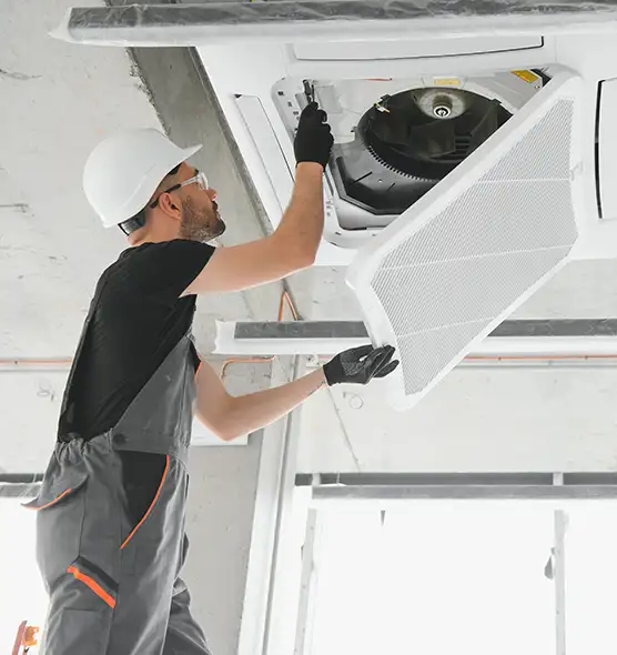 About Air Duct Rodent Removal in Visalia, CA