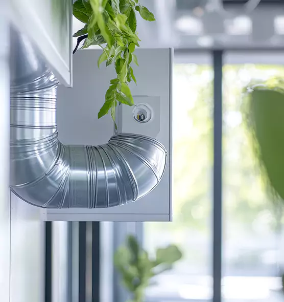 Professional Eco-Friendly Duct Cleaning Services in Visalia, CA