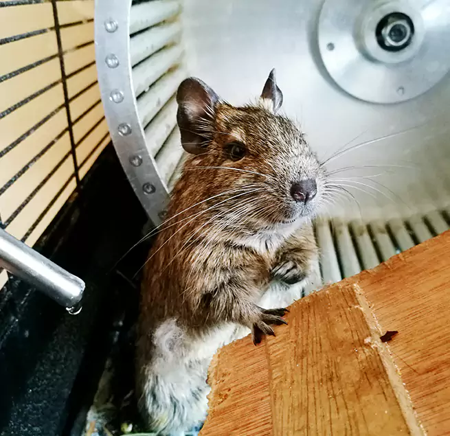 Why Homeowners & Businesses Trust Us Visalia, CA