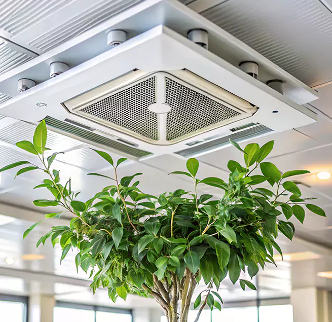 Why Homeowners & Businesses Trust Us in Visalia, CA