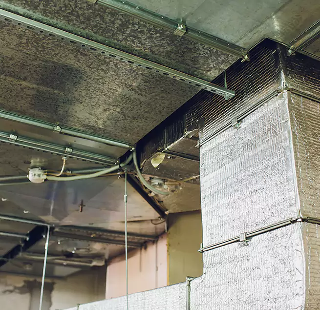 Why Homeowners & Businesses Trust Us in Visalia, CA?